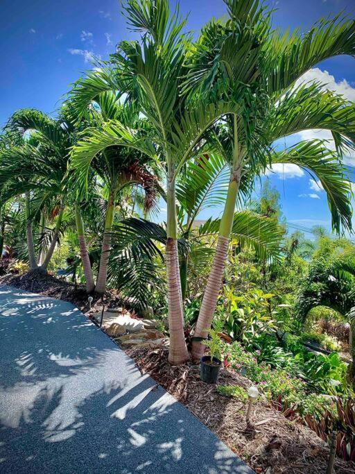 Whitsunday Dreams Lägenhet Airlie Beach Exteriör bild